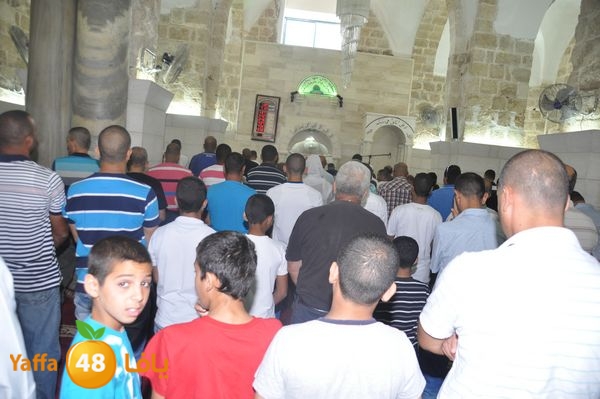 bazsalah lud 712 (35).JPG